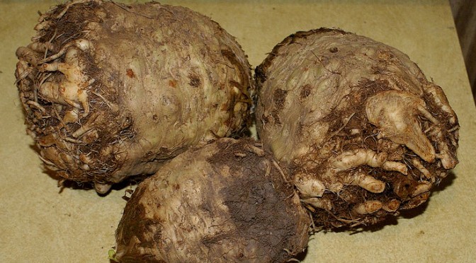 Championing Celeriac